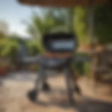 Magnificent Comprehensive Overview of the Weber Q 3200 Propane Gas Grill