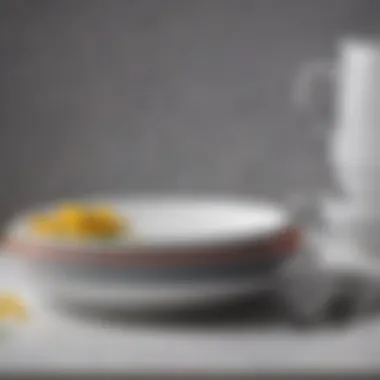 Close-up of melamine dinnerware highlighting its durable texture