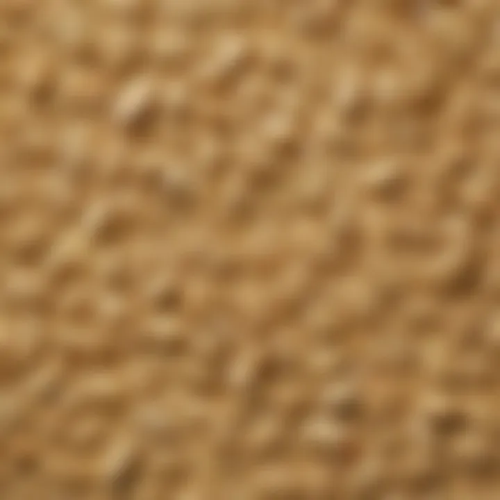 A close-up of the texture of almond flour used in baking