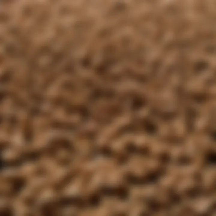 Variety of wood pellets in a rustic container