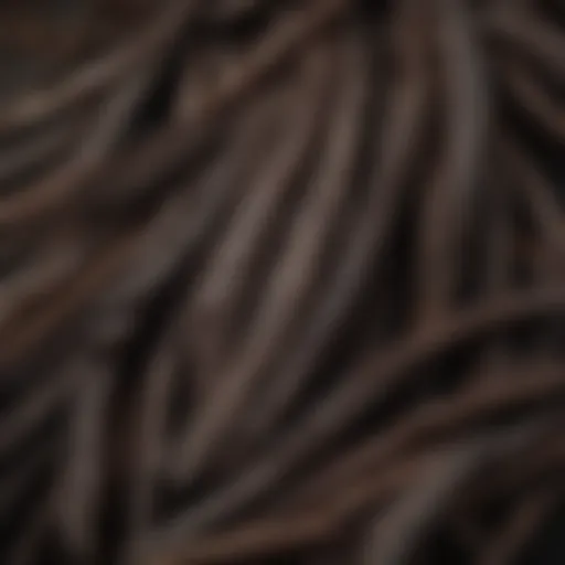 Close-up of vanilla beans with rich texture