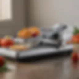 Professional mandoline slicer with adjustable settings