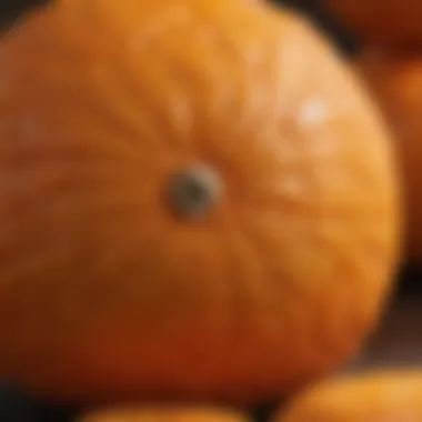 Close-up of the unique texture and shape of a sumo orange