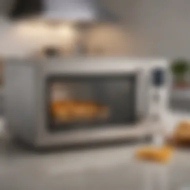 Sleek design of a modern microwave potato cooker showcased on a kitchen countertop.