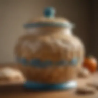 A beautifully designed ceramic cookie jar