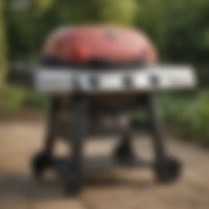 Comprehensive Overview of the Weber Q 3200 Propane Gas Grill Summary