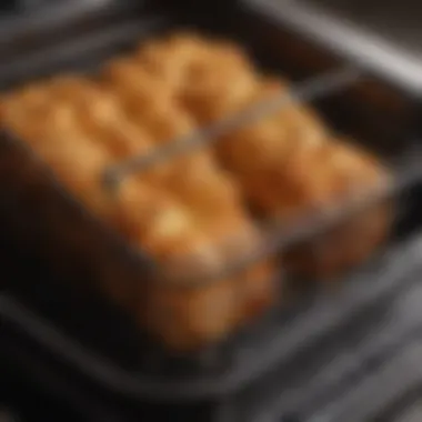 Close-up of the Cosari Air Fryer's basket demonstrating its non-stick feature.