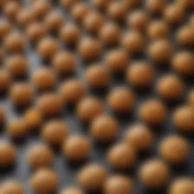 Cross-Contamination Risks in Production Visual representation of cross-contamination in food production