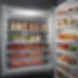 Creative deep freezer organization ideas