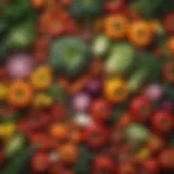 A colorful assortment of fresh vegetables