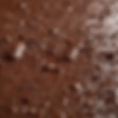 A close-up of the rich texture of Dunkin' Donuts chocolate mix.