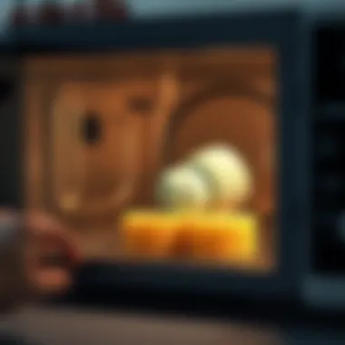 Sanitizing kitchen sponge in microwave