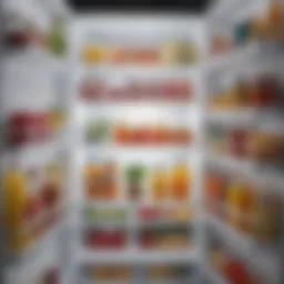 Sparkling clean refrigerator interior showcasing organized shelves