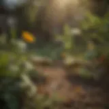 Natural wasp deterrent plants in a garden
