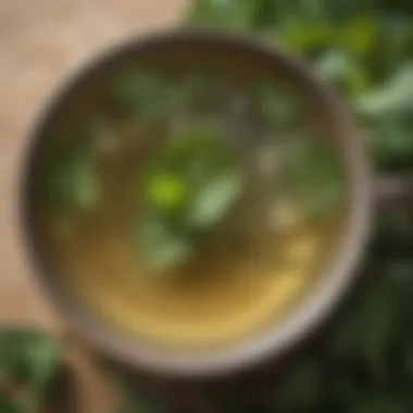 Steaming Cup of Korean Mint Tea A close-up of a steaming cup of Korean mint tea with fresh mint sprigs