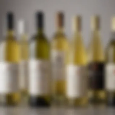 A selection of affordable white wines displayed elegantly