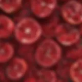 Close-up of vibrant pomegranate seeds highlighting their rich color and texture