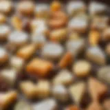 A selection of artisanal cheeses showcasing diverse textures and colors