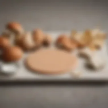 Palette of colors complementing creamy mushroom paint