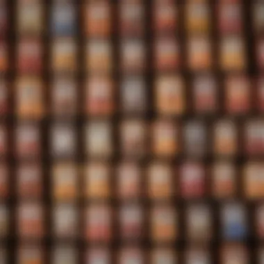 Diverse Crock Pot Sauce Packet Selection A variety of colorful crock pot sauce packets displayed together.