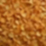 A close-up view of a bulk bag of Fritos chips highlighting their crunchy texture.