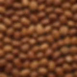 A vibrant assortment of flavored hot nuts in decorative bowls showcasing their diversity.
