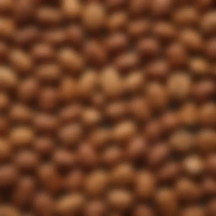 A vibrant assortment of flavored hot nuts in decorative bowls showcasing their diversity.