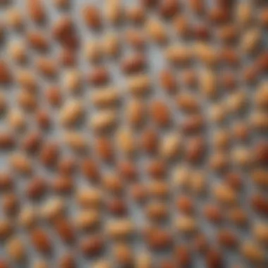 Nutritional Benefits of Hot Nuts An infographic detailing the nutritional benefits of various types of hot nuts.