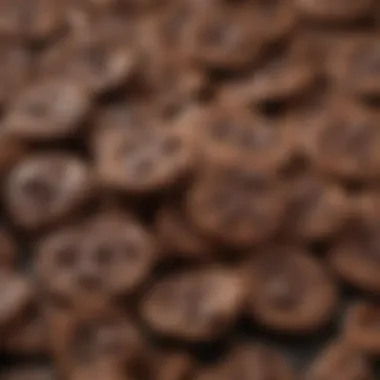 Close-Up of Low-Fat Chocolate Chips A close-up of low-fat chocolate chips highlighting their texture and shine