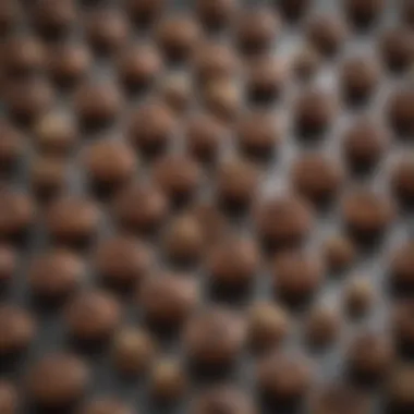 Creative Desserts with Low-Fat Chocolate Chips An assortment of desserts made with low-fat chocolate chips showcasing creativity in presentation