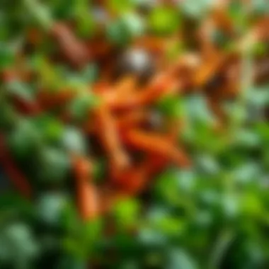 Vibrant Textures of Fresh Herbs Close-up of fresh herbs highlighting their vibrant textures and colors.