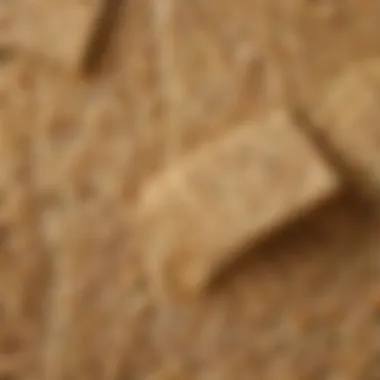 Raw Matzo Meal Texture Matzo meal in its raw form, showcasing its texture and color