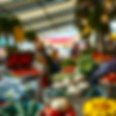 A vibrant farmers market showcasing fresh local ingredients used by Napa's chefs