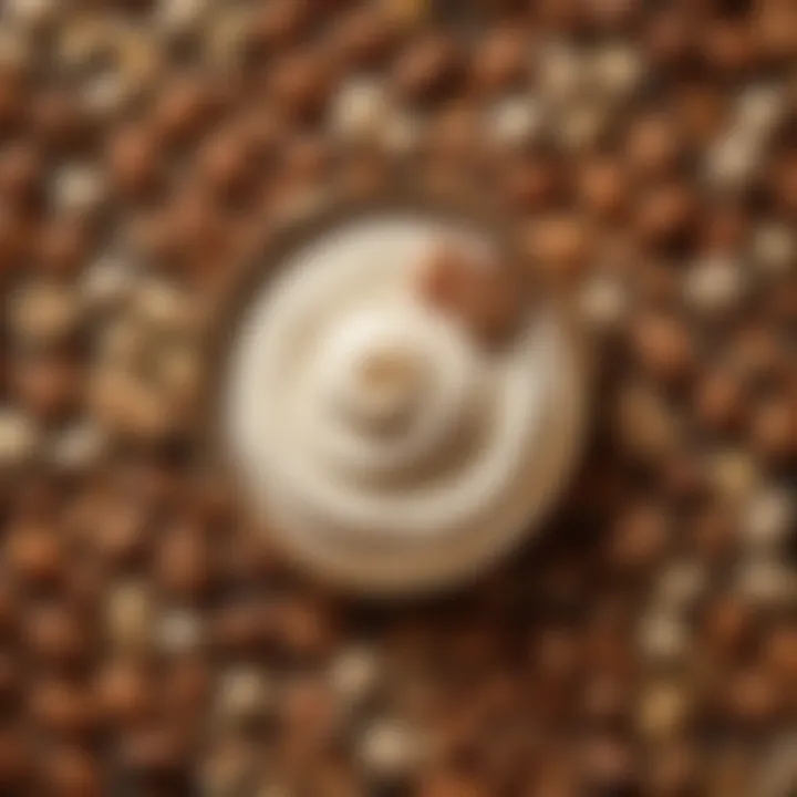 An artistic arrangement of various nuts and seeds used for making non-dairy creams.