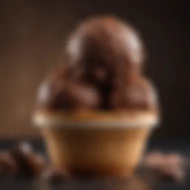 A bowl of decadent chocolate ice cream