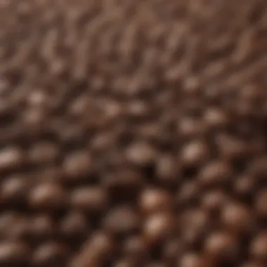 Close-up of coffee beans highlighting their rich texture.