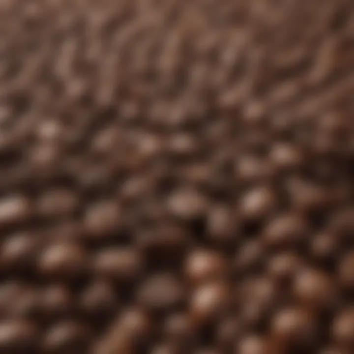 Close-up of coffee beans highlighting their rich texture.