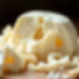 A close-up view of freshly crafted raw mozzarella cheese showcasing its texture