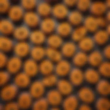 Vibrant Sweet Potato Dishes An artistic arrangement of sweet potato dishes showcasing vibrant colors and textures.