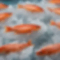A vibrant display of various fresh fish on ice