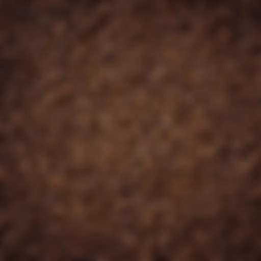 A beautifully arranged selection of coffee beans from various origins