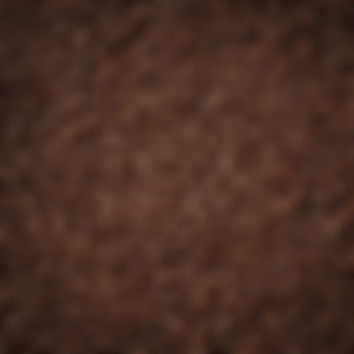 A beautifully arranged selection of coffee beans from various origins