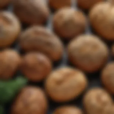 A variety of freshly baked plant-based bread showcasing different textures and colors