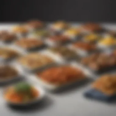 Gourmet Ready-Made Meals An array of gourmet ready-made meal options displayed elegantly
