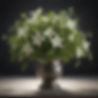 A lush jasmine vine with delicate white flowers