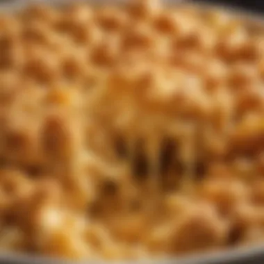 A close-up of mac and cheese with a golden crust