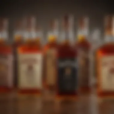 Bourbon whiskey bottles lined up highlighting different styles