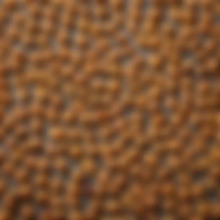 Types of fiber found in Cheerios represented visually