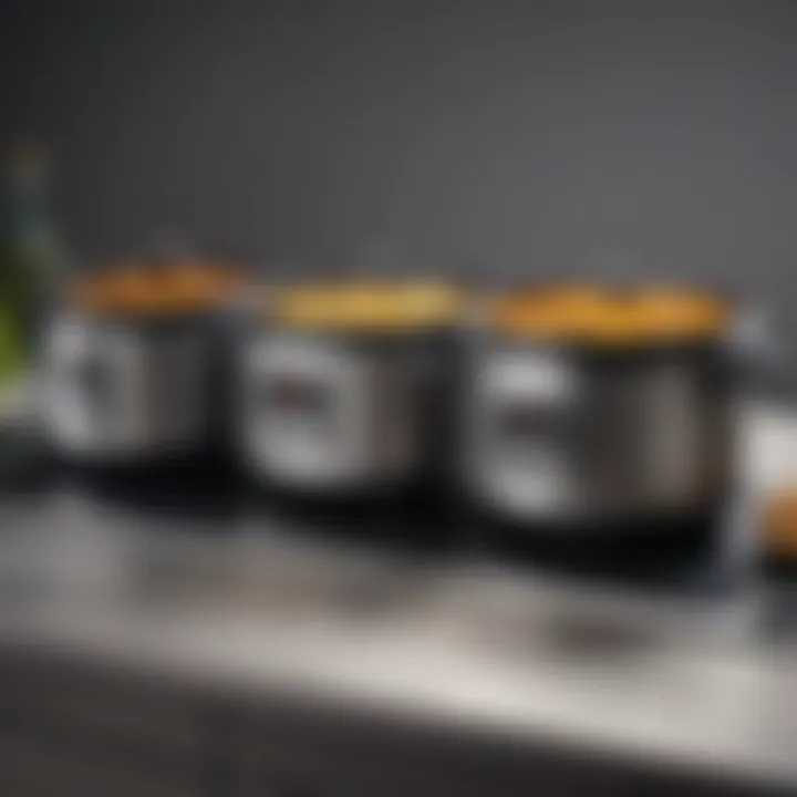 Comparison chart of various low wattage cooker models