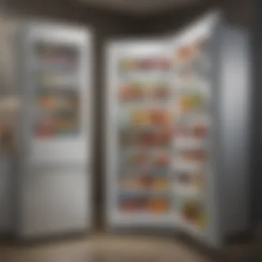 Energy-Efficient Refrigerator Options Energy-efficient fridge with eco-friendly label